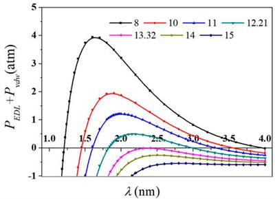 Estimation of the surface potential of clay mineral taking Na+/K+-specific ion effects into account